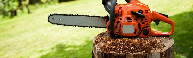庭木の伐採作業で使用するチェーンソーの写真