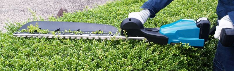 生垣を刈り込むための剪定道具の写真