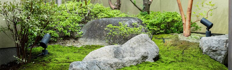 石と苔を使って整えられた庭の景観の写真