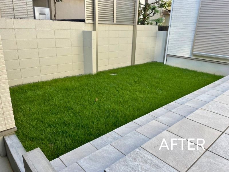 施工後に芝生が均一に整い緑が広がった庭の状態