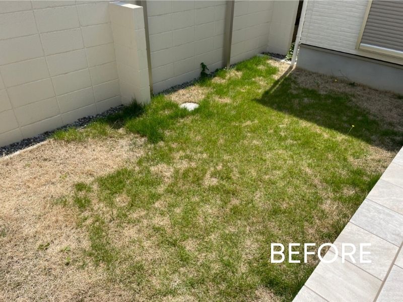 傷みが目立っていた手入れ前の芝生の写真