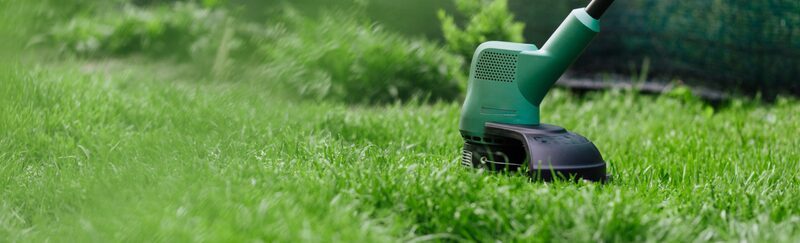 庭の雑草を草刈り機で整えている様子の写真