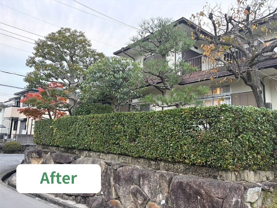 堺市南区の個人宅のお庭お手入れ、剪定施工後の写真