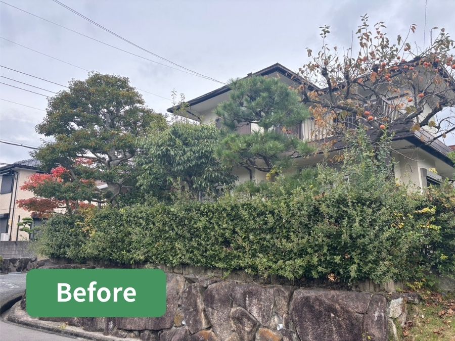 堺市南区の個人宅のお庭お手入れ、剪定施工前の写真