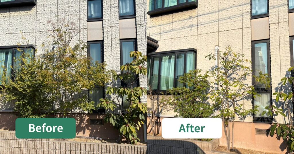 大阪狭山市｜引退された植木屋さんに代わり、庭木を風通しよく剪定