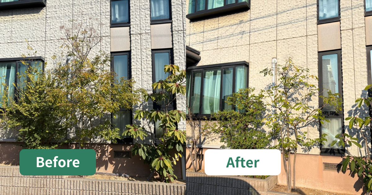 大阪狭山市｜引退された植木屋さんに代わり、庭木を風通しよく剪定