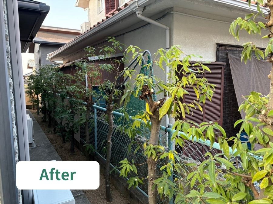 庭木の剪定後の写真