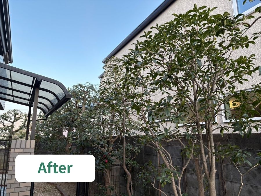 庭木の剪定後の写真