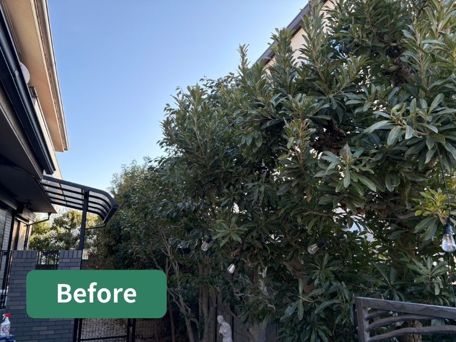庭木の剪定前の写真