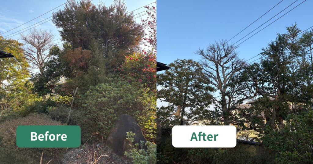 大阪狭山市｜手入れが追いつかない庭木をプロが剪定し、ふわりと明るい庭へ