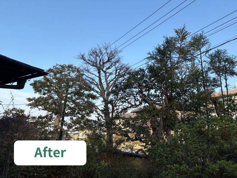 大阪狭山市 庭木剪定 施工後 庭全体 光が入り明るくなった庭の様子