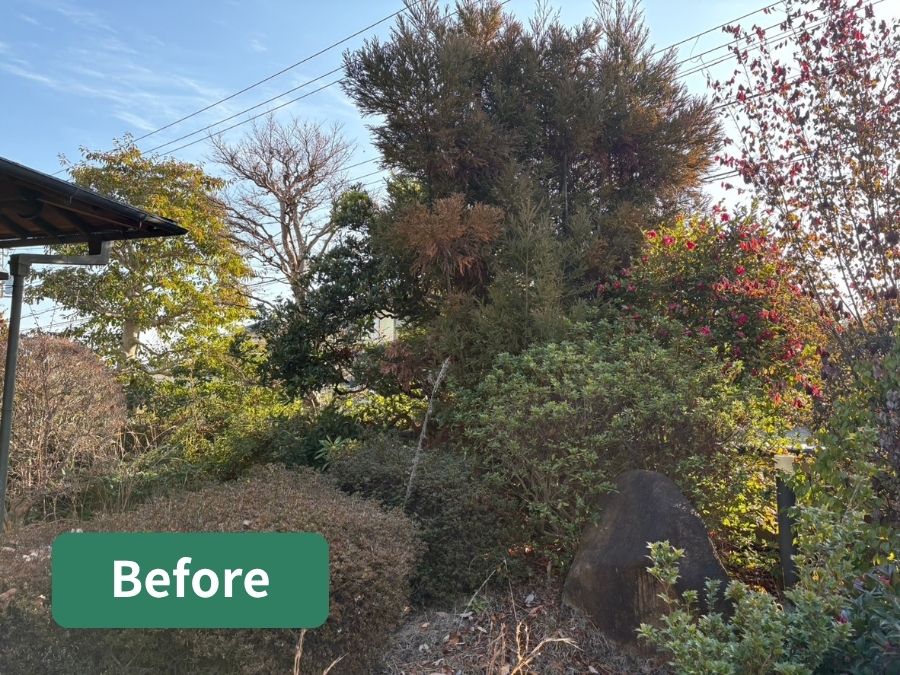 大阪狭山市 庭木剪定 施工前 庭全体 枝が伸びて暗くなった庭の様子