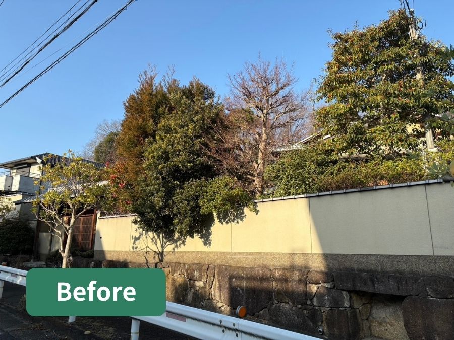 大阪狭山市 庭木剪定 施工前 外周 塀まわり 枝が張り出している状態