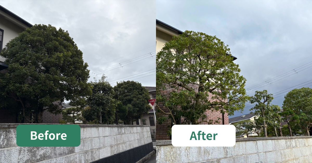 富田林市｜枝が詰まって暗かった庭木を、透かし剪定で風と光通した事例