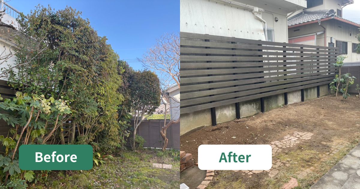 大阪狭山市｜庭リフォーム前の庭木（カシノキ）抜根