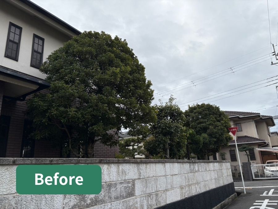 枝が混み合って暗くなっている庭木の状態の写真