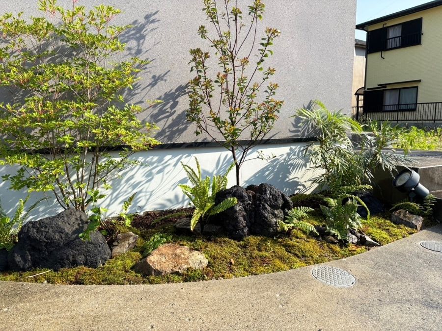 石・植木・苔を組み合わせ、小さなスペースに立体感のある和の庭を施工した完成後の写真。